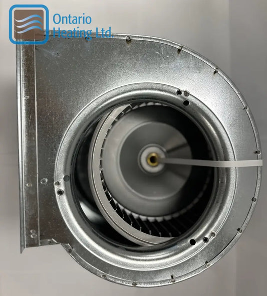 6816325 - 1020 BLOWER Motor